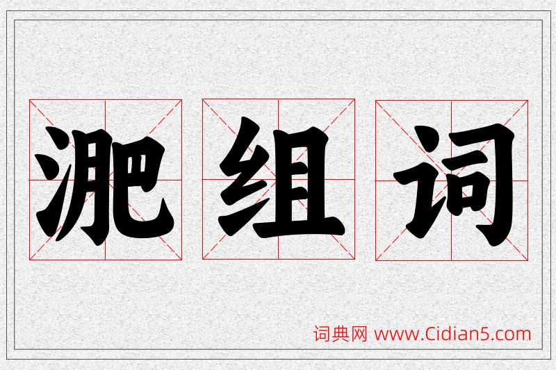 淝字的组词